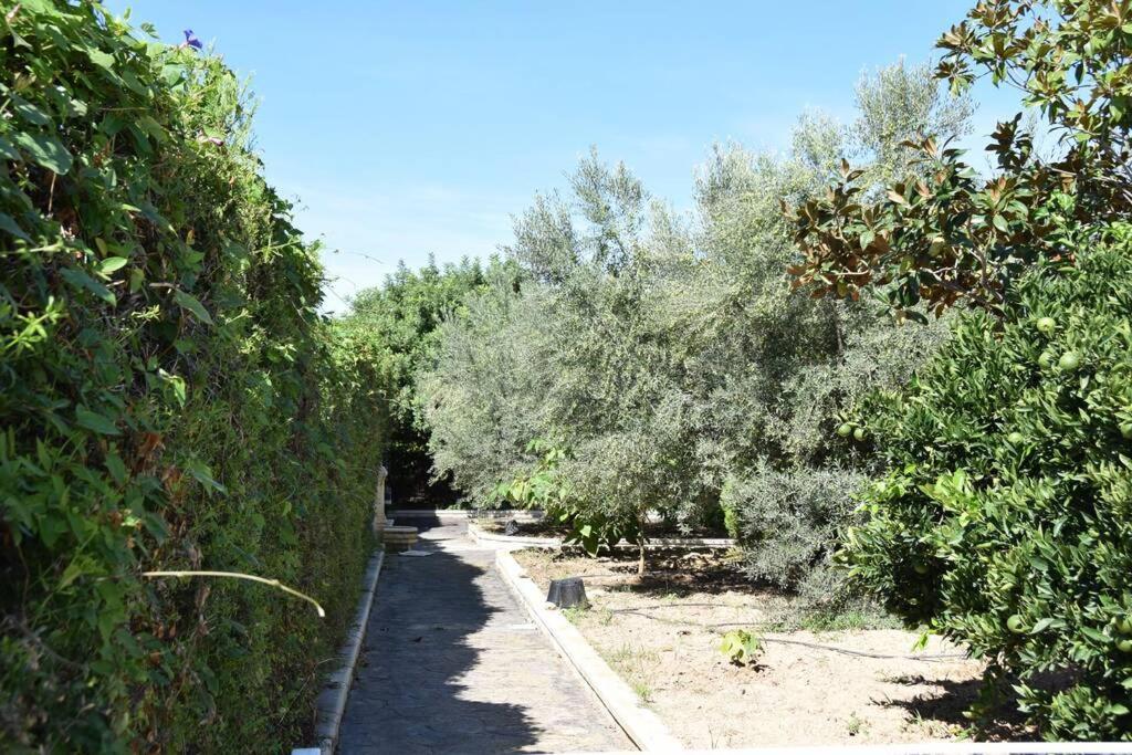 Casa Rural " La Bruja " سيجوربي المظهر الخارجي الصورة